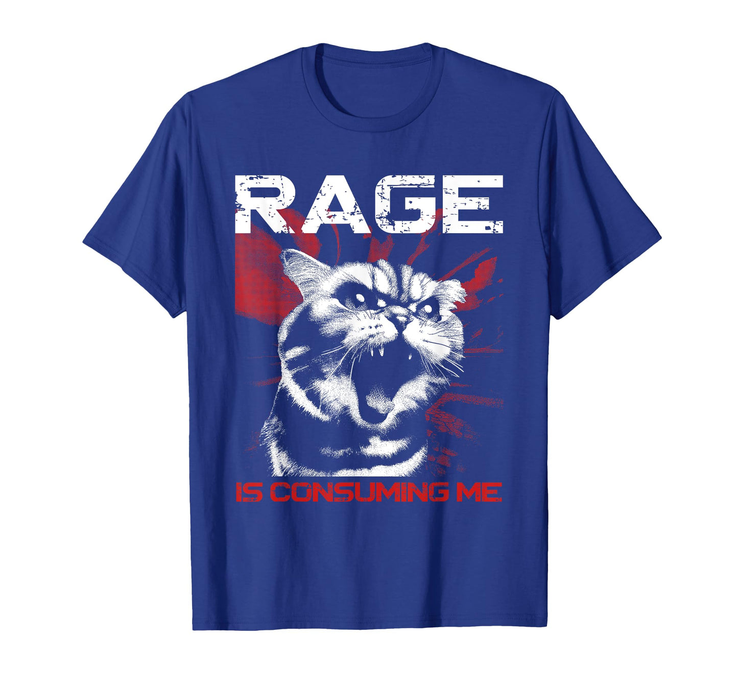 Rage Is Consuming Me - Funny Meme Cat Lover T-Shirt for Men Women Kids