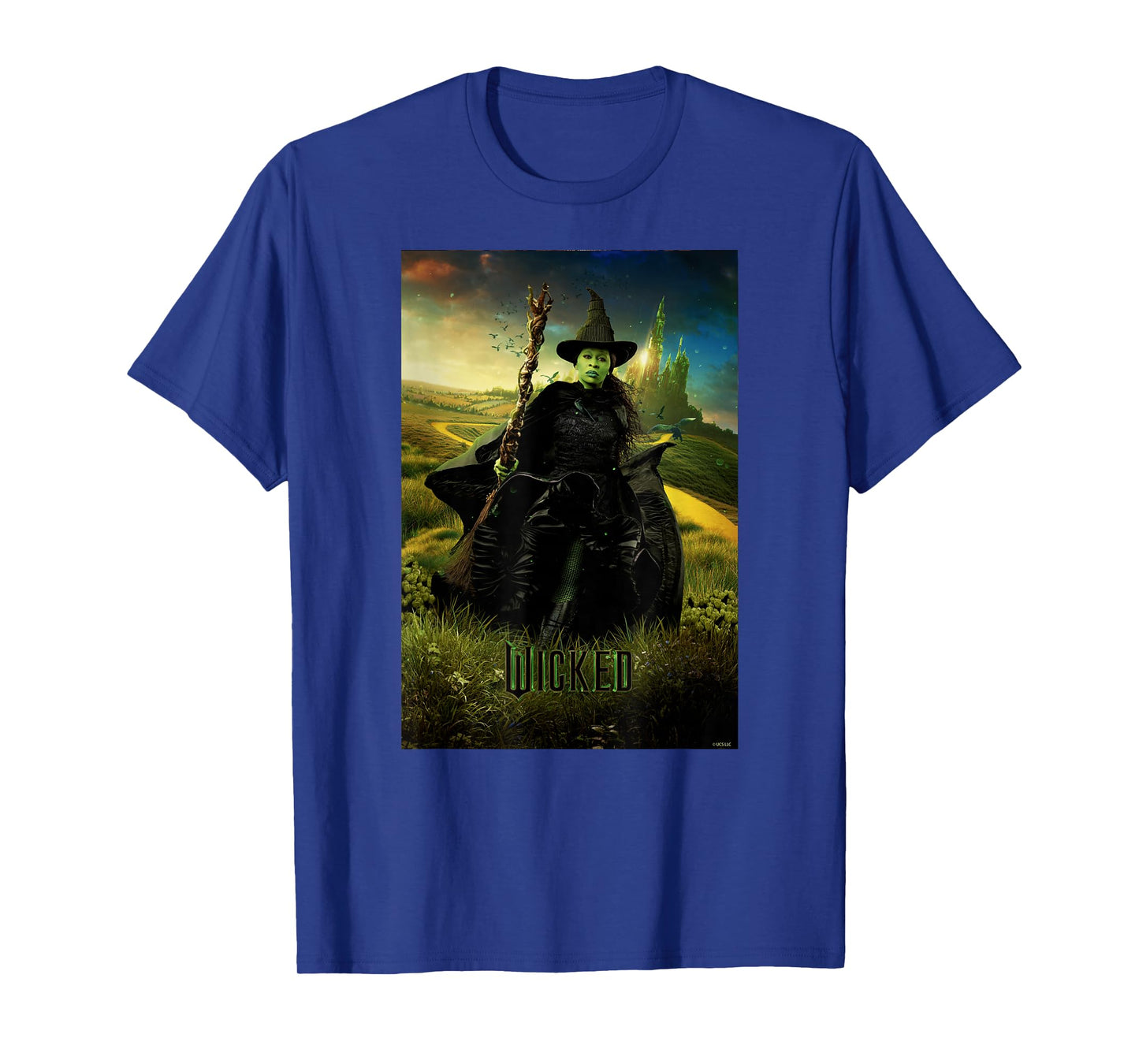 Wicked Unisex-Adults & Kids T-Shirt, Black, Small, Short Sleeve, Classic Fit, Iconic Hero Design, Licensed Movie Theme