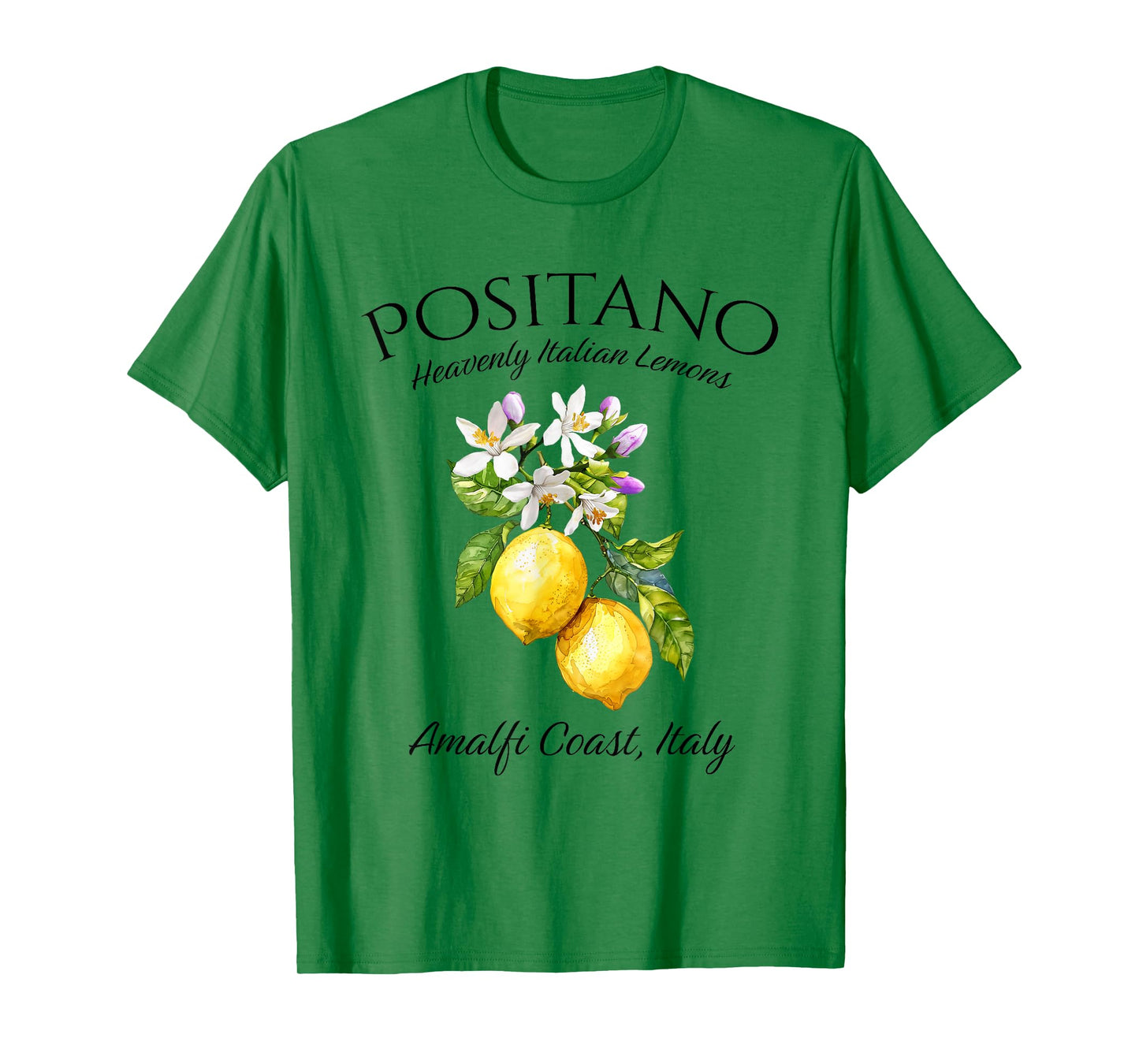 Positano Amalia Coast Italian Lemons Italy T-Shirt