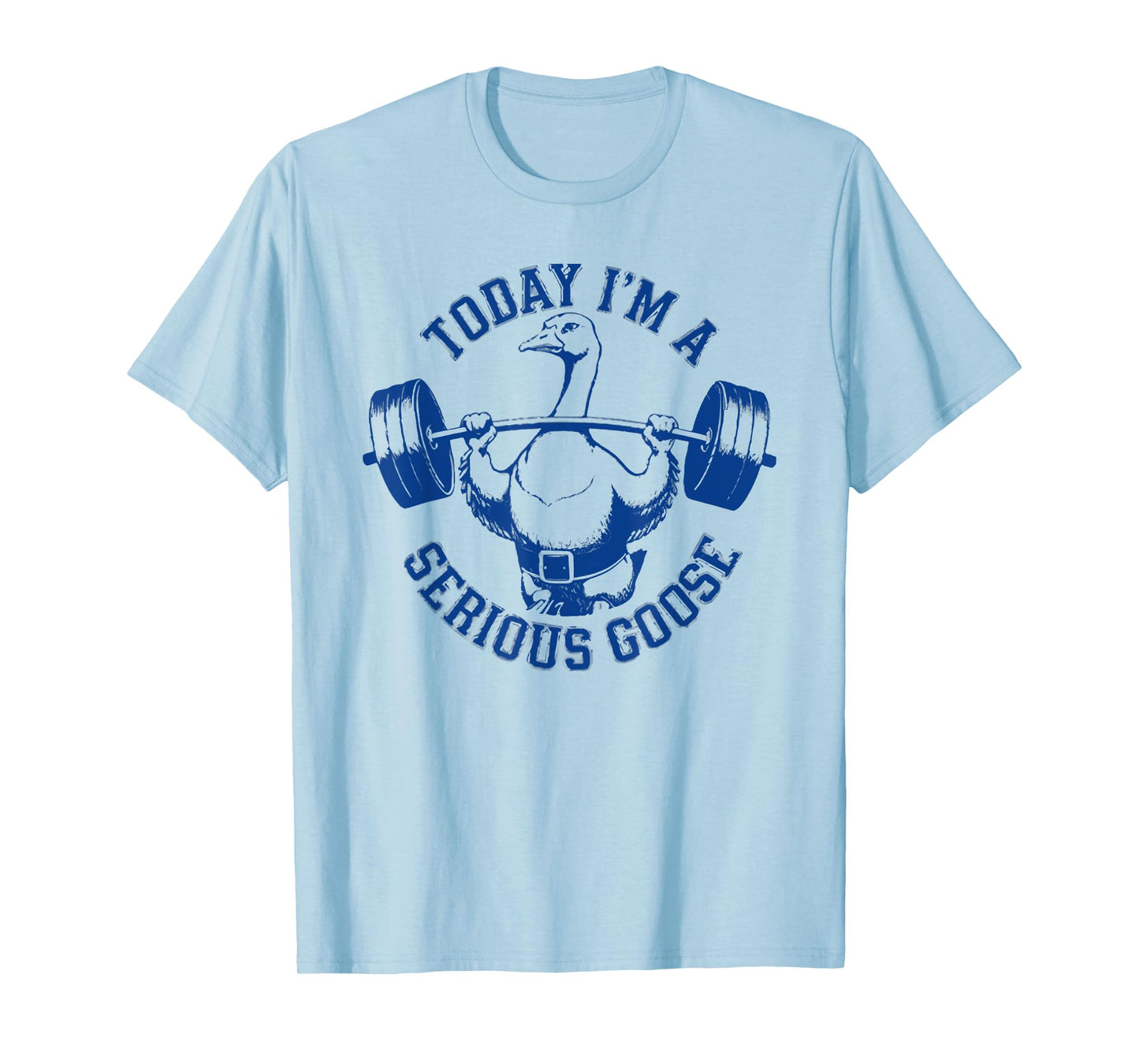 today i'm a serious goose T-Shirt