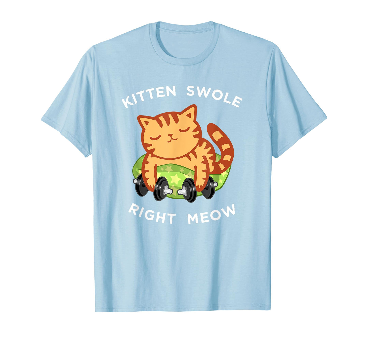 Funny Lifting Right Meow Cat Shirt, Workout Gym Kitty Tee T-Shirt