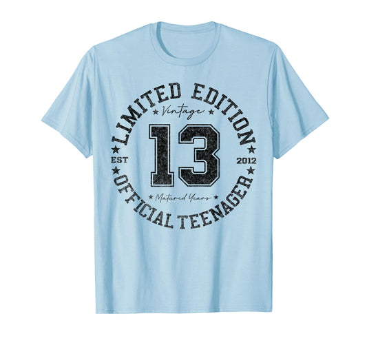 Official Teenager 13 Year Old Gifts Vintage 13th Birthday T-Shirt