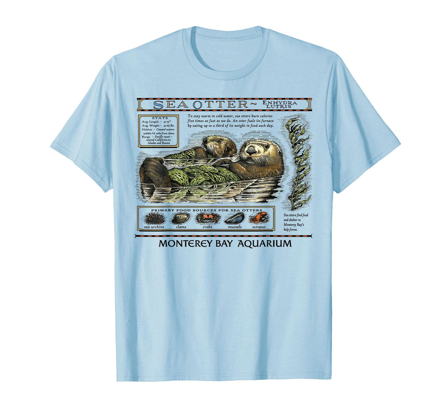 Vintage Sea Otters T-Shirt