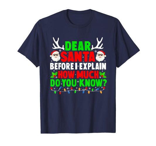 Dear Santa I Can Explain Funny Xmas Family Men Women Kids T-Shirt