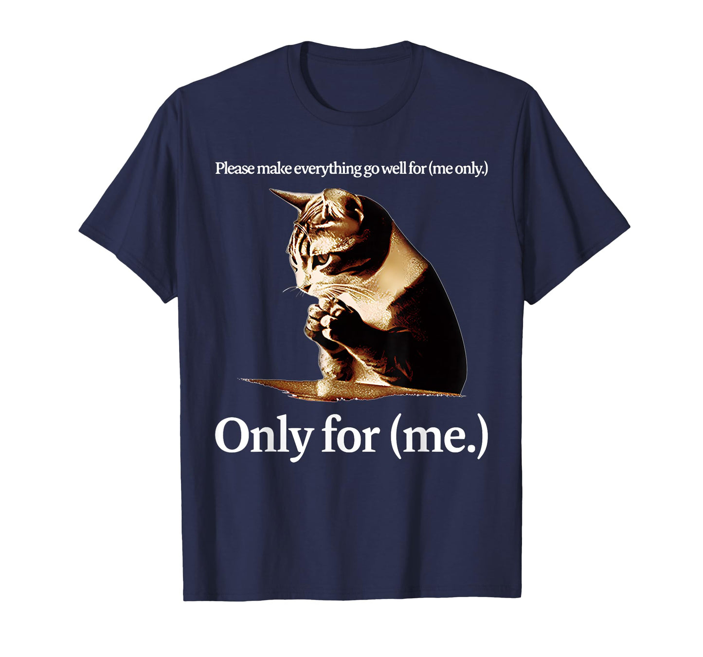 Cat Jesus Please Make Everything Go Well For Only For (Me) T-Shirt