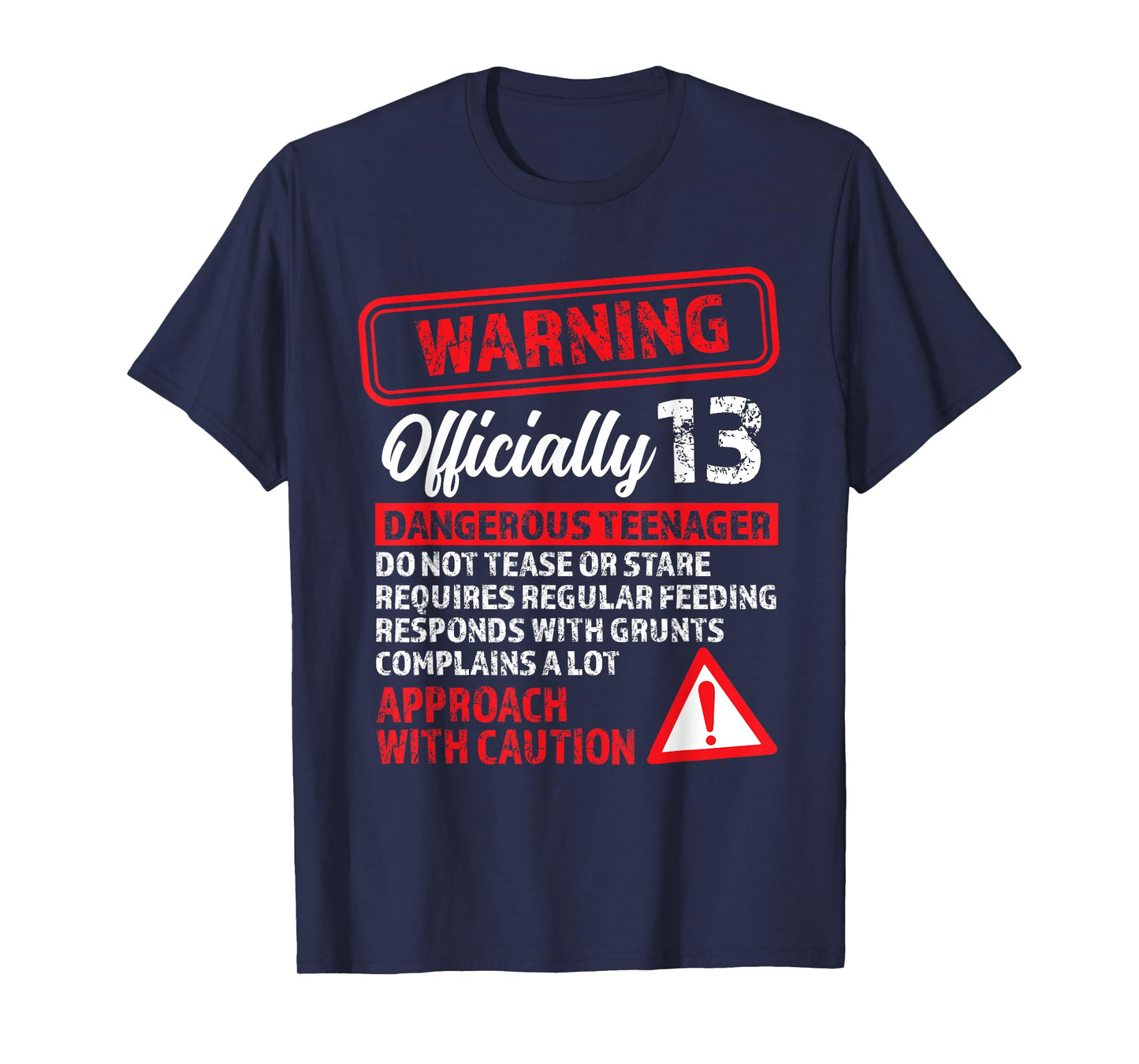13th Birthday Gifts Warning Dangerous Teenager 13 Yr Old T-Shirt