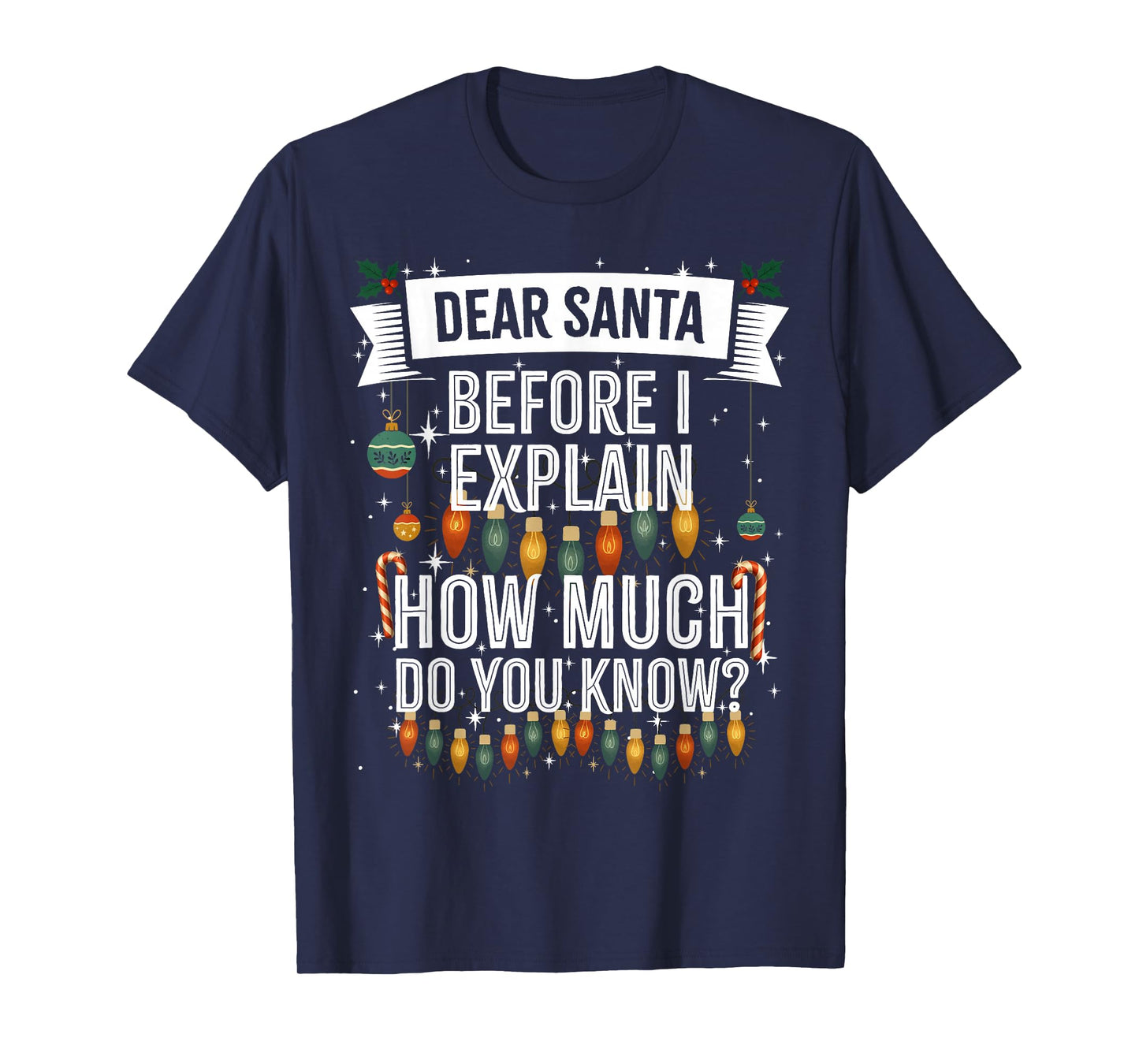Dear Santa, I can Explain, Funny Naughty Adult Christmas T-Shirt