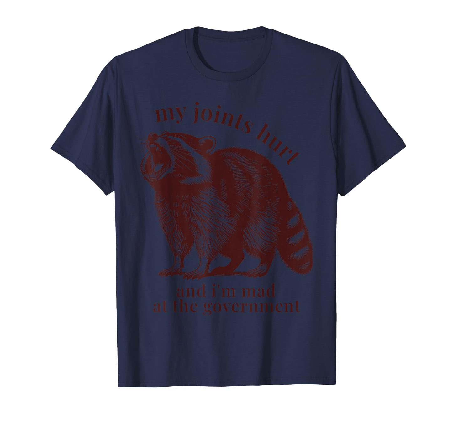 Raccoon My Joints Hurt Funny Ehlers Danlos Syndrome Lupus T-Shirt