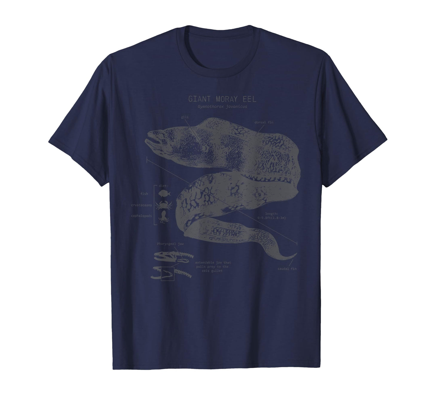 Vintage Moray Eel Anatomy Ocean Animal Marine Biologist T-Shirt