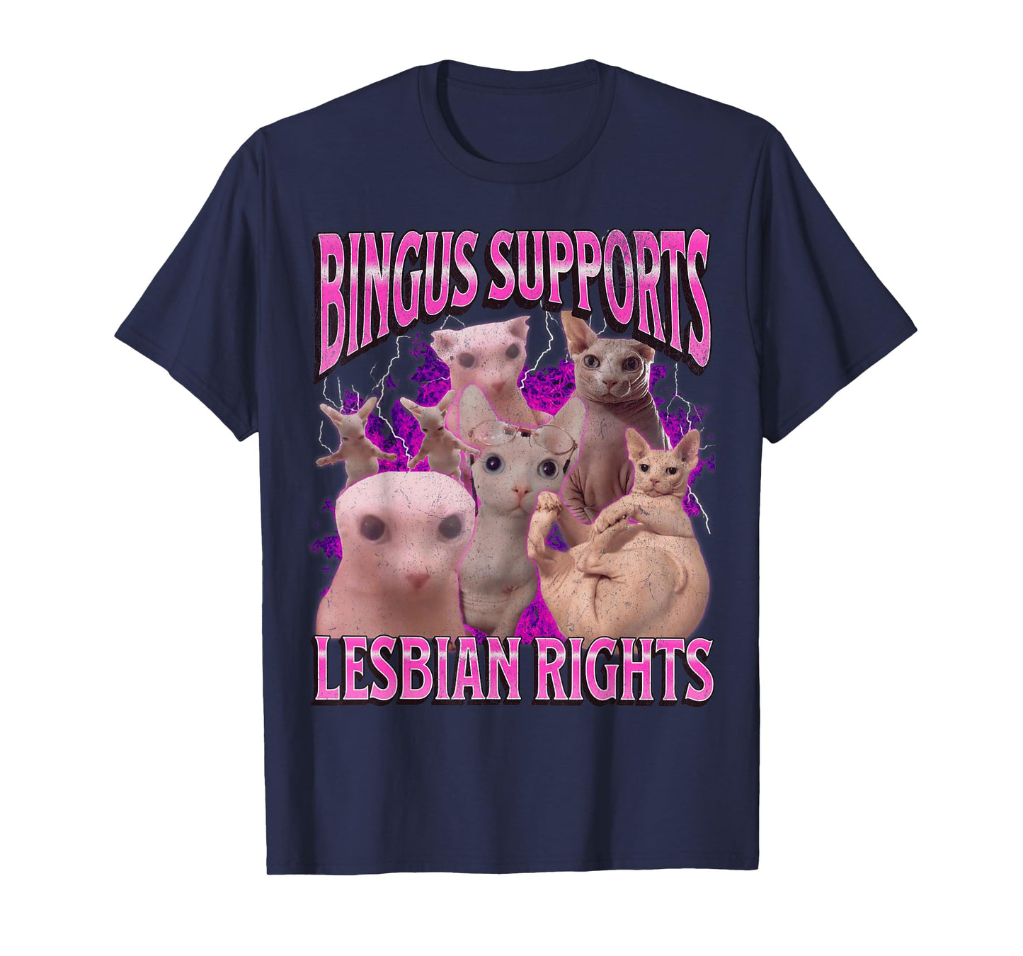 Bingus Supports Lesbian Rights Funny Cat Meme Bootleg T-Shirt