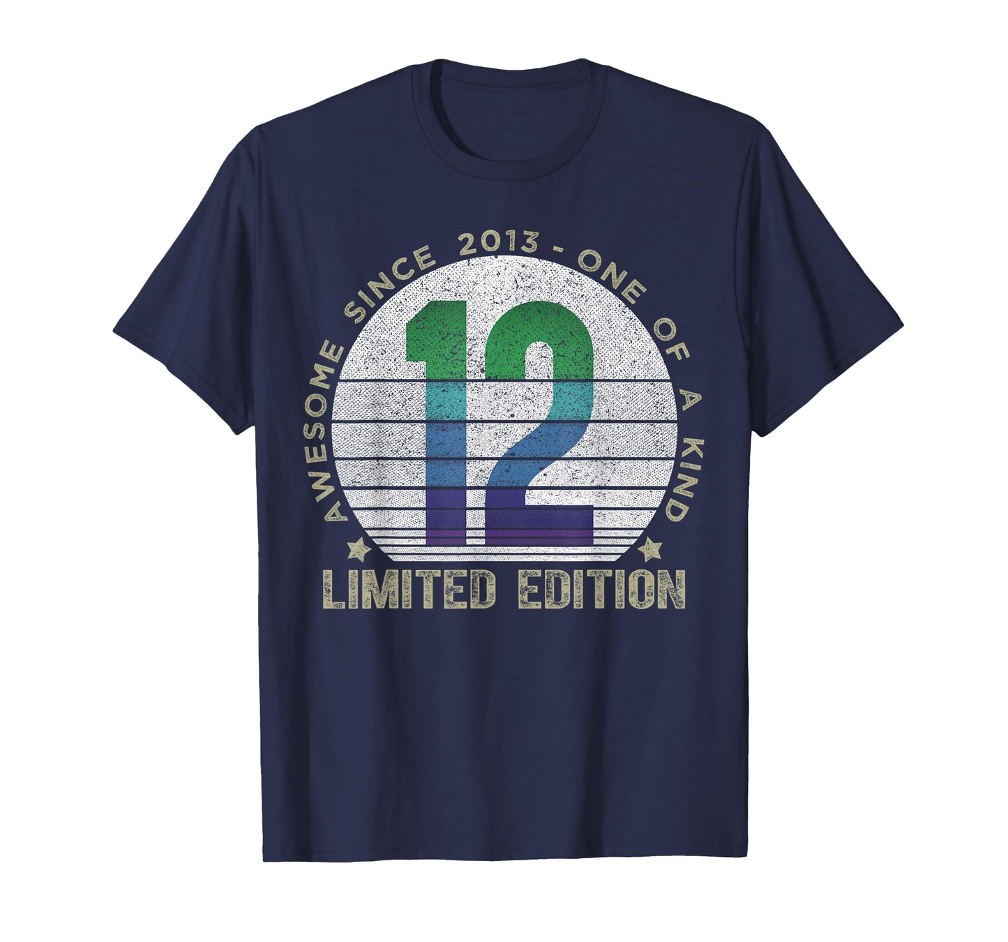12 Year Old Gifts Vintage 2013 Limited Edition 12th Birthday T-Shirt