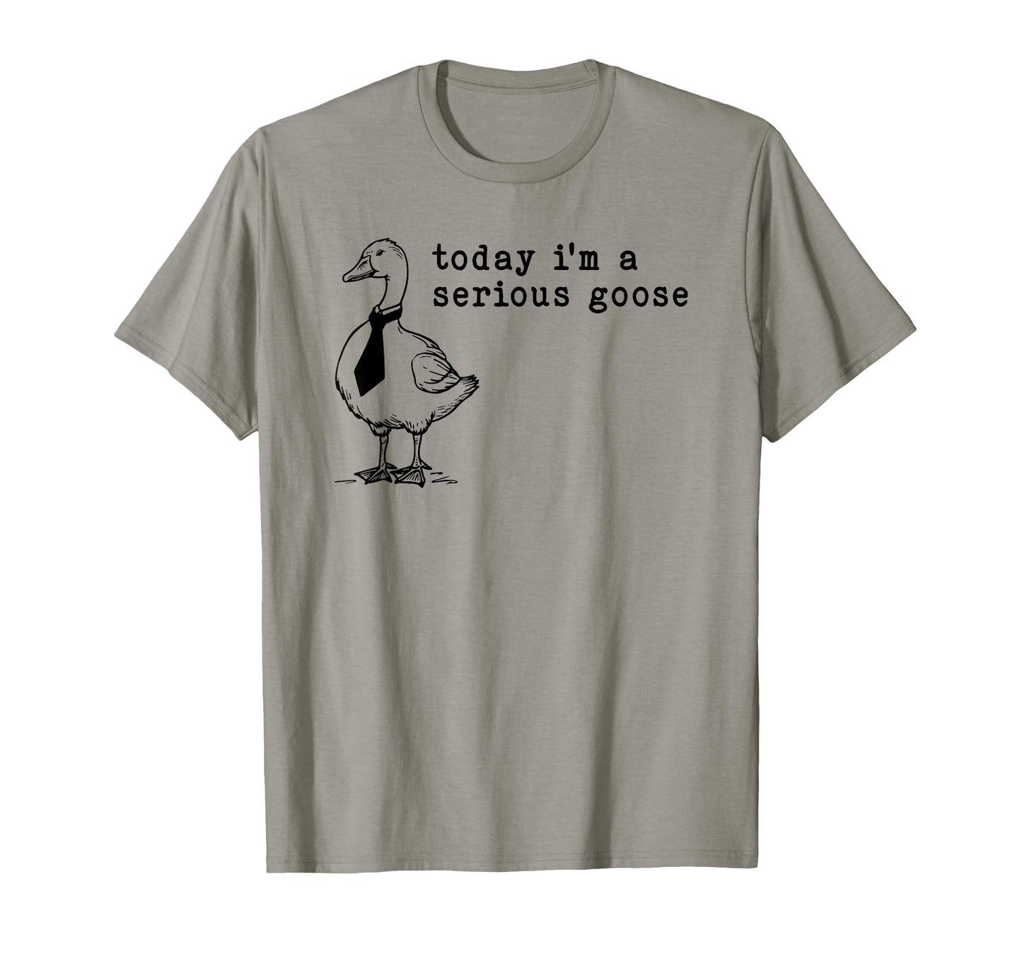 today i'm a serious goose T-Shirt