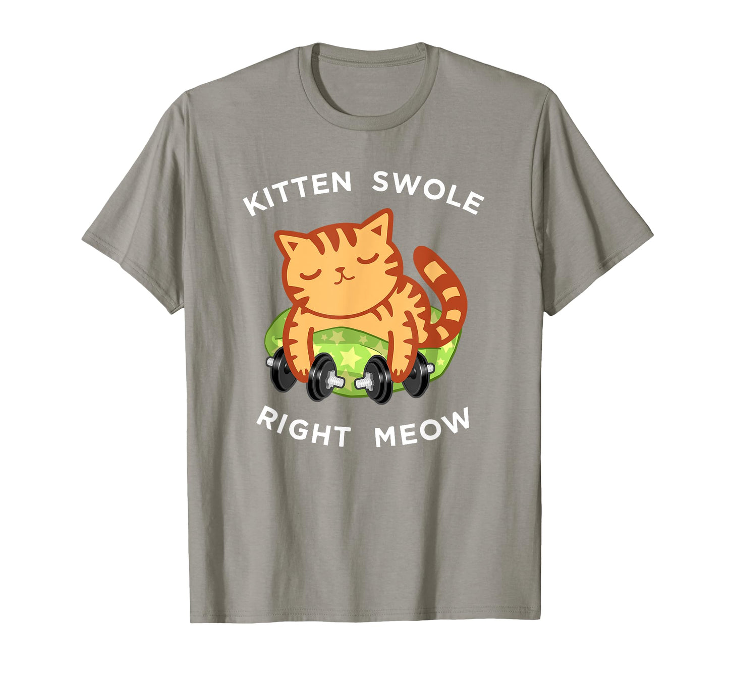 Funny Lifting Right Meow Cat Shirt, Workout Gym Kitty Tee T-Shirt