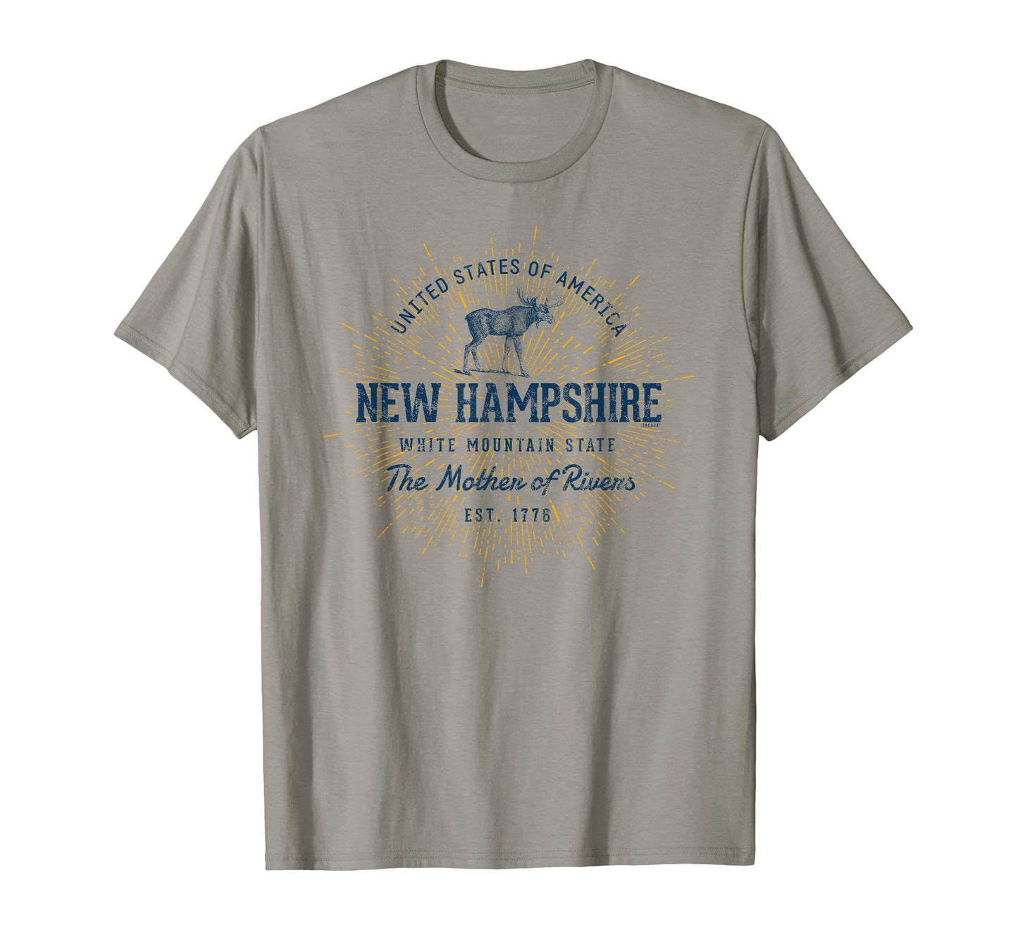 Retro Vintage State of New Hampshire T-Shirt