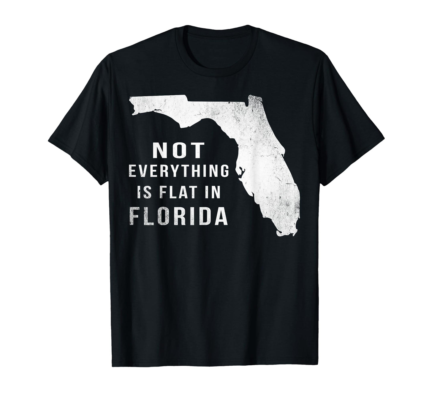 Not Everything Is Flat Funny Florida T-Shirt T-Shirt