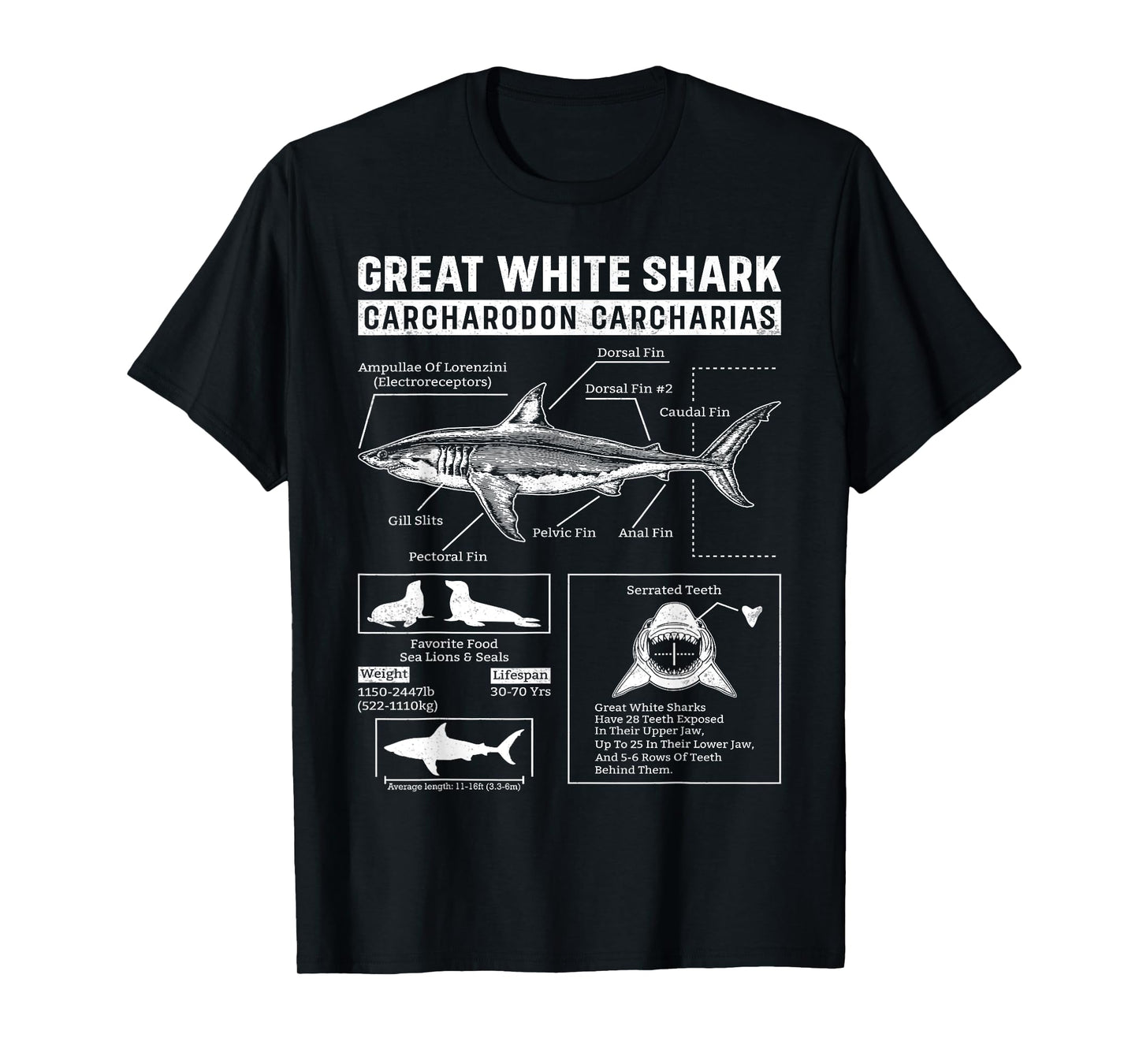 Vintage Great White Shark Anatomy Lover Marine Biologist T-Shirt
