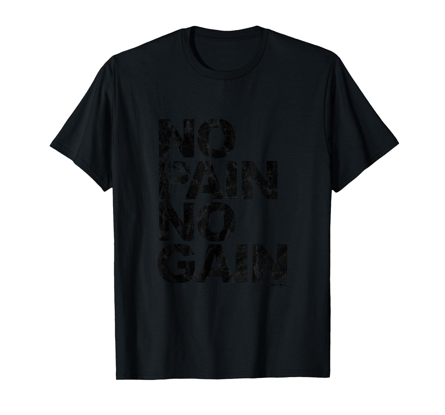 No Pain No Gain - Training, men, women T-Shirt