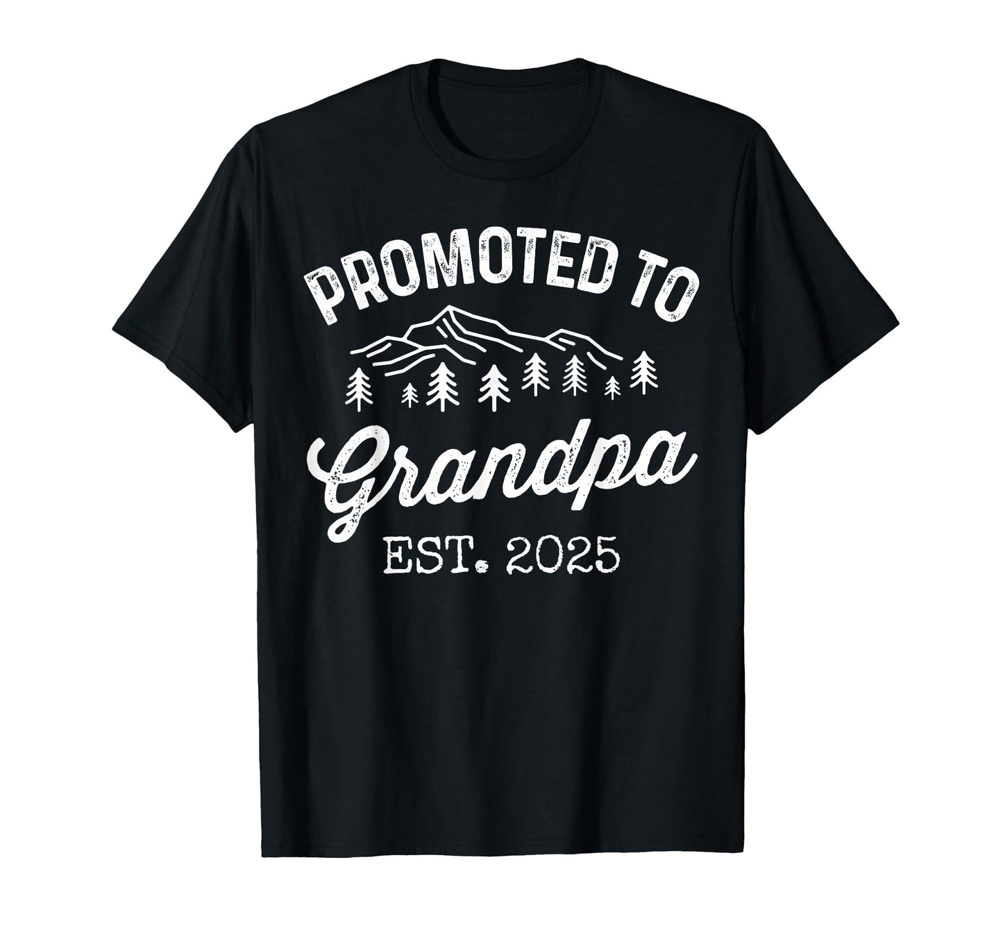 Promoted To Grandpa Est 2025 Soon To Be Grandpa Gifts Poppop T-Shirt