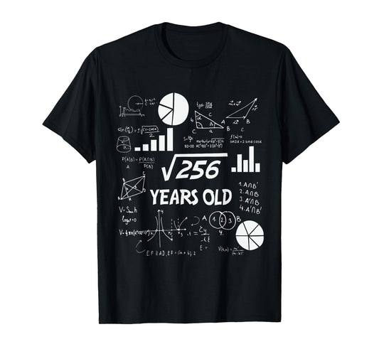 16th Birthday Square Root of 256 Math 16 Years Old Birthday T-Shirt