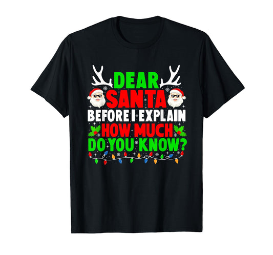 Dear Santa I Can Explain Funny Xmas Family Men Women Kids T-Shirt