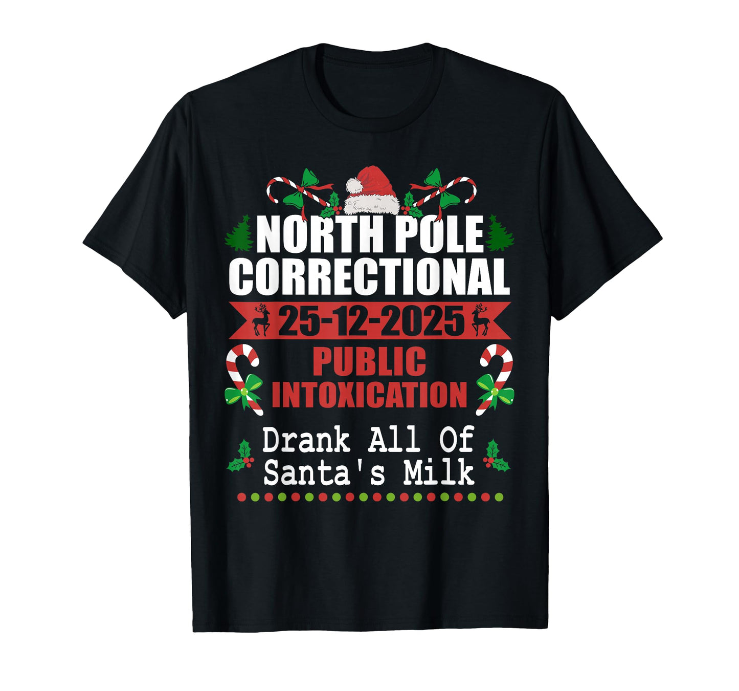 North Pole Correctional Christmas Public Intoxication T-Shirt