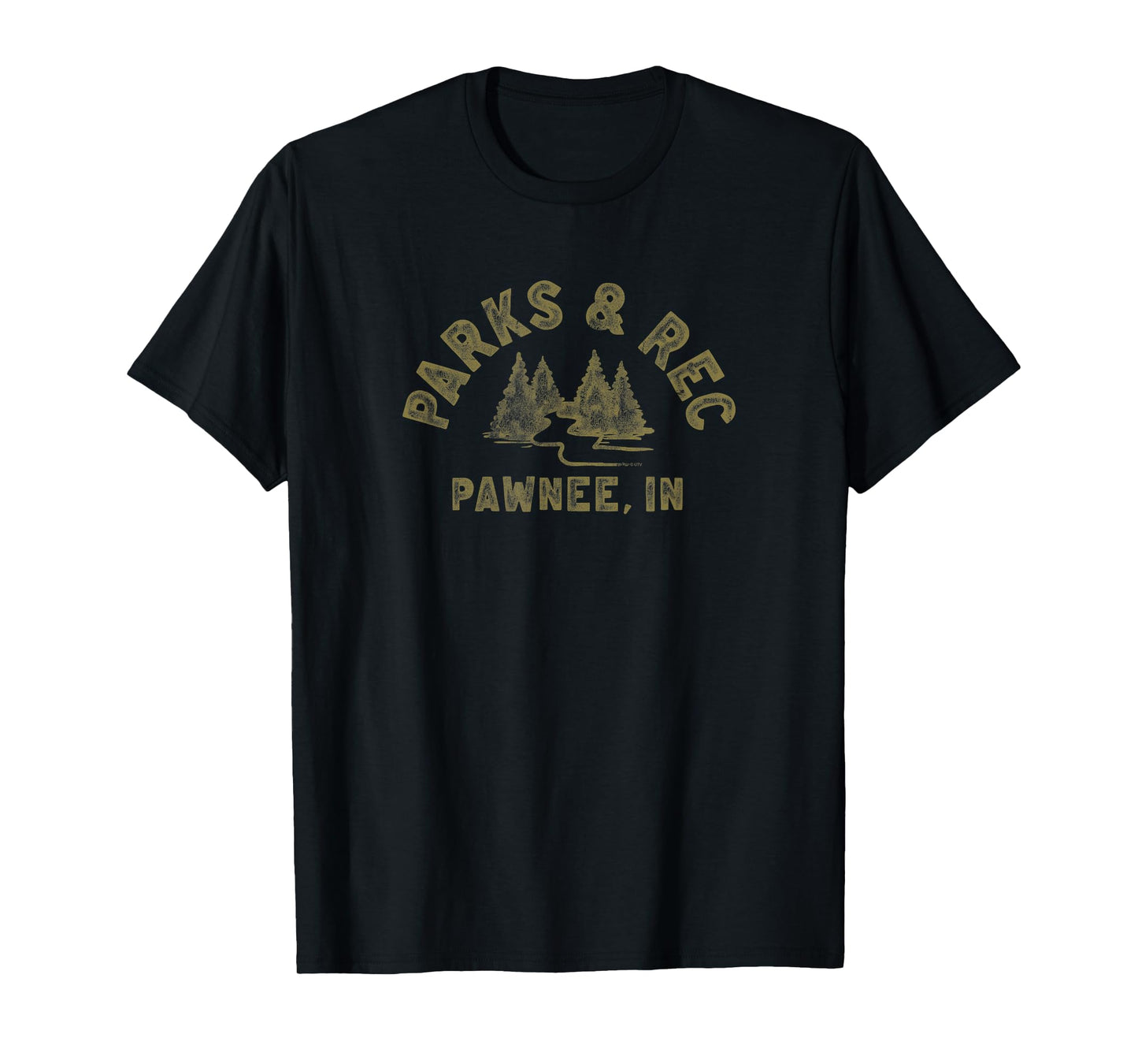 Parks & Recreation Vintage Parks and Rec T-Shirt