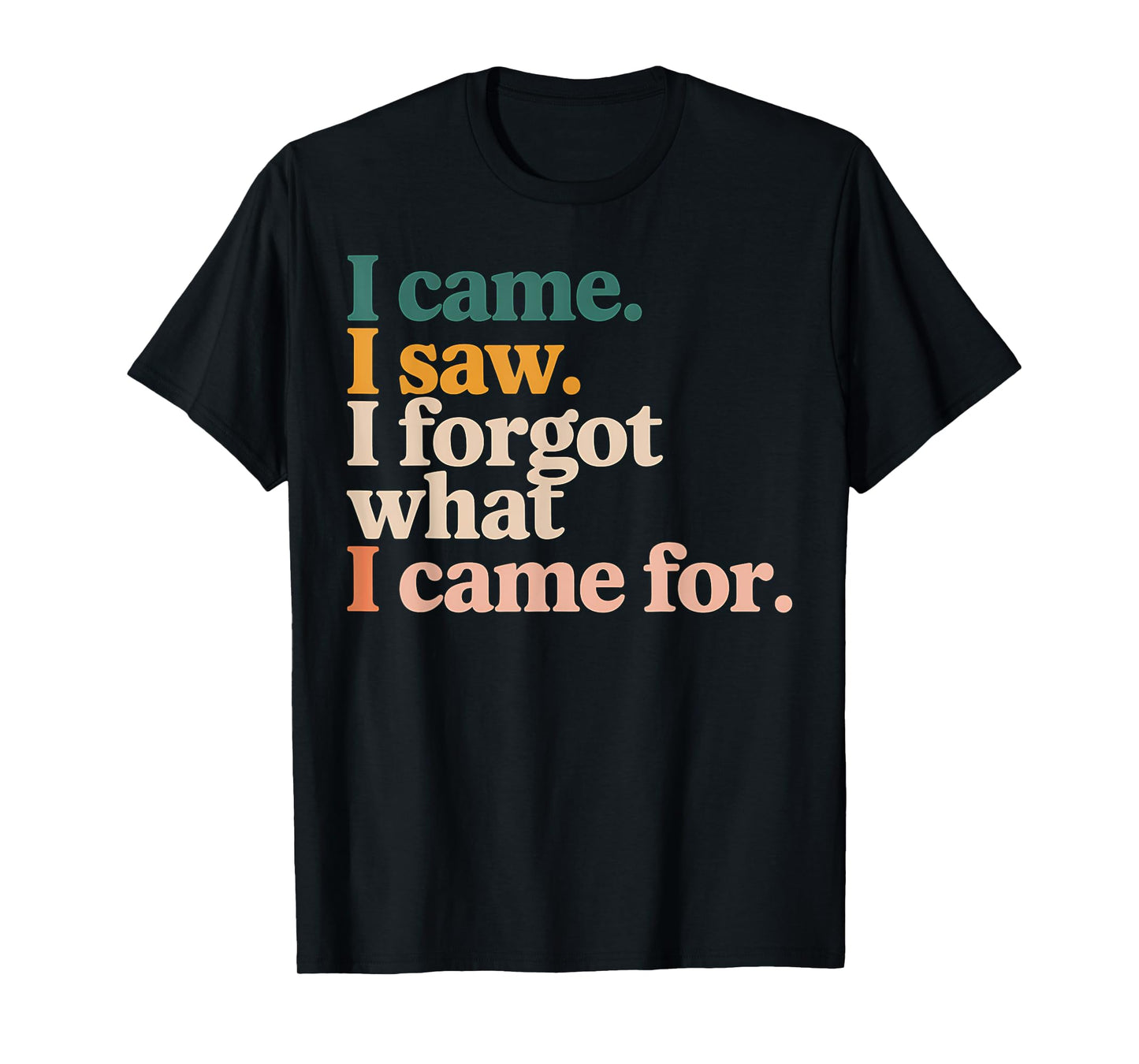 Funny Graphic Tee I Came I Saw I Forgot What I Came For T-Shirt