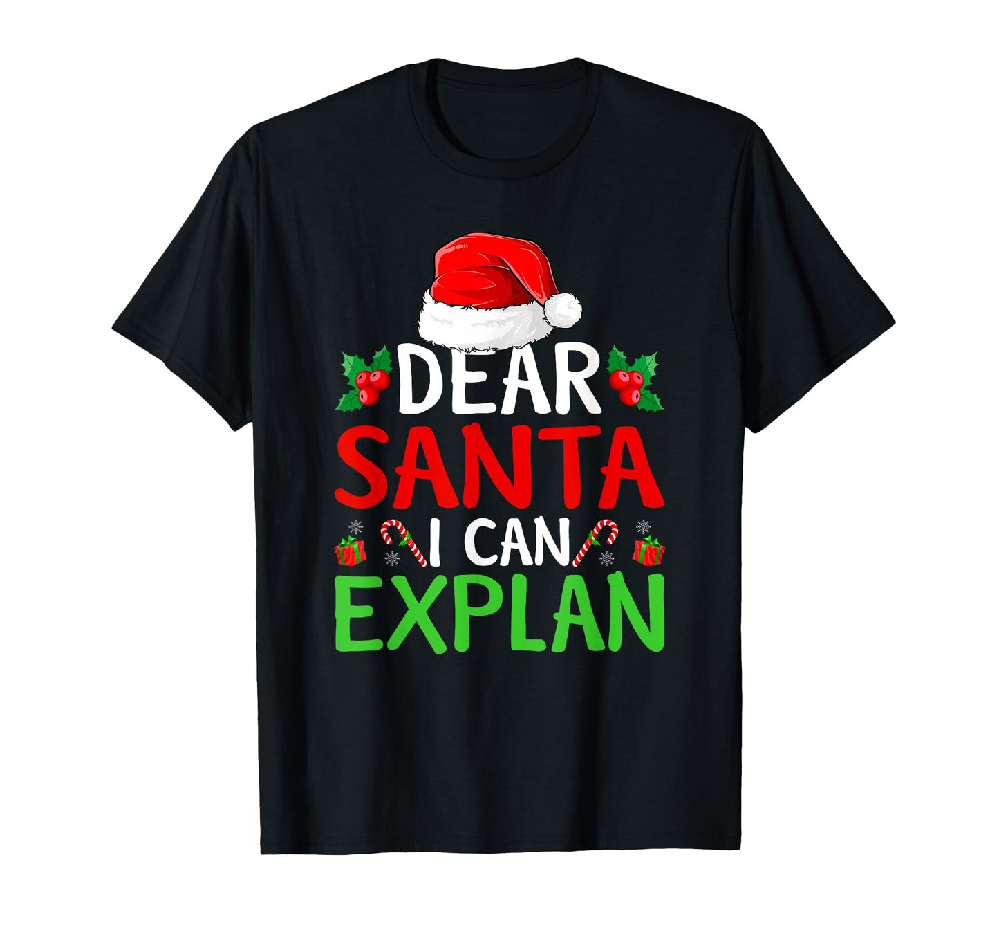Dear Santa I Can Explain Family Christmas Pajamas T-Shirt