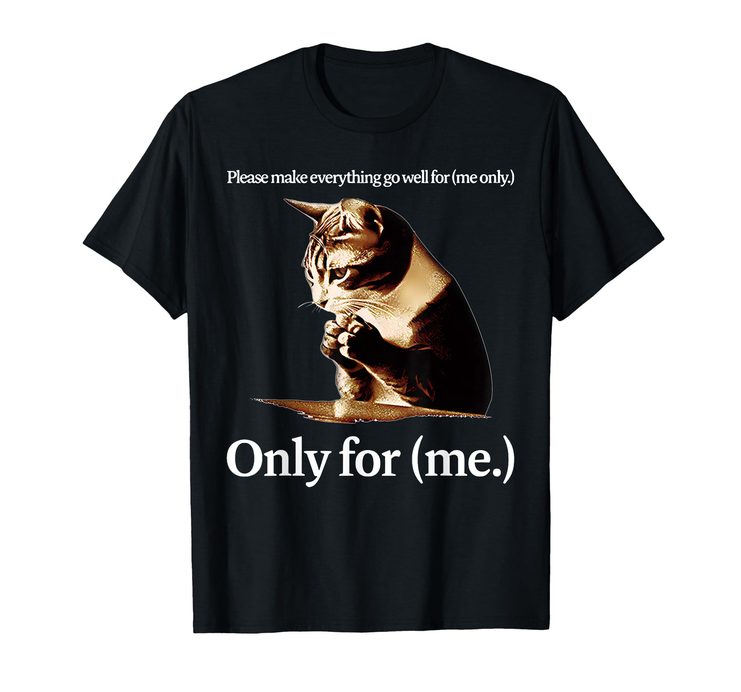 Cat Jesus Please Make Everything Go Well For Only For (Me) T-Shirt