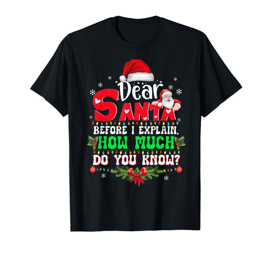 2025 Funny Christmas Shirts Kids Adults Santa I Can Explain T-Shirt