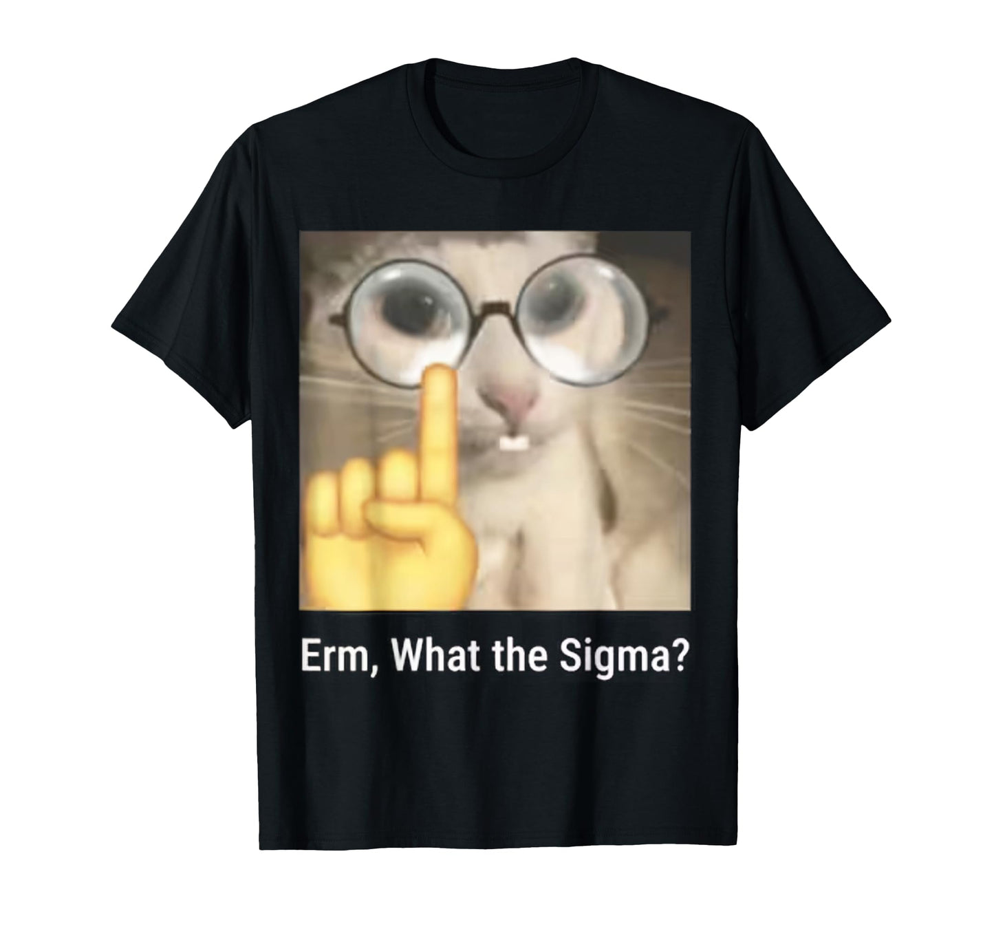 Erm, What the Sigma? Cat Meme Funny T-Shirt