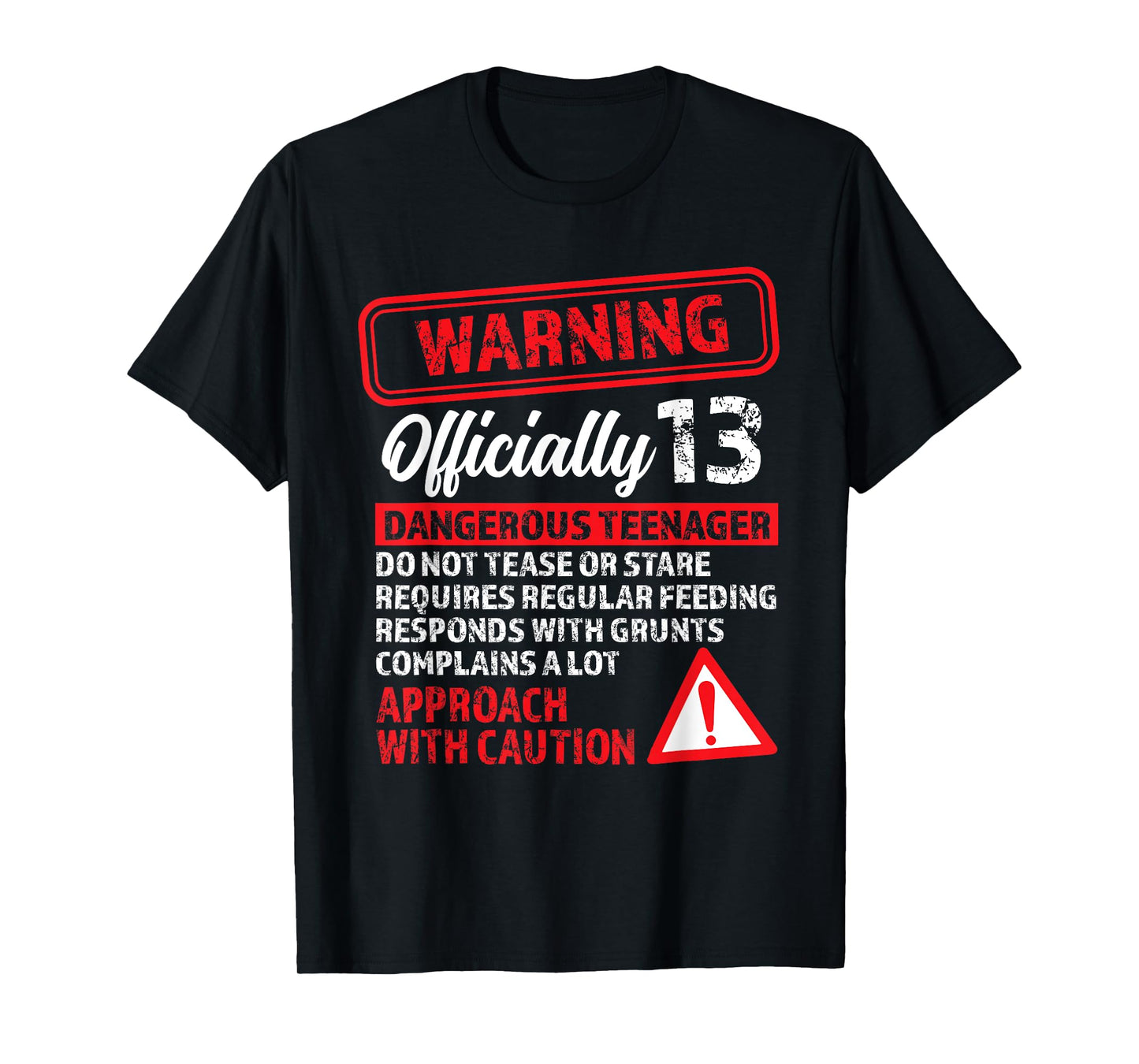 13th Birthday Gifts Warning Dangerous Teenager 13 Yr Old T-Shirt