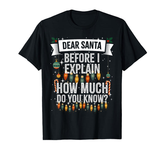Dear Santa, I can Explain, Funny Naughty Adult Christmas T-Shirt