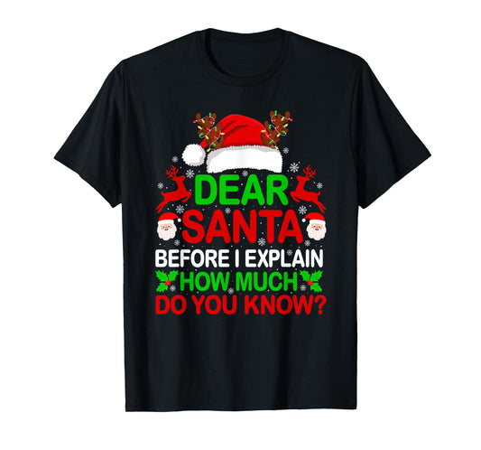 Dear Santa I Can Explain Funny Christmas Shirts Kids Adults T-Shirt