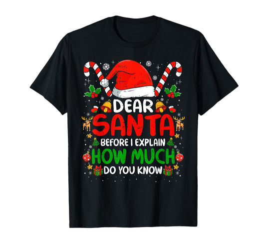 Dear Santa I Can Explain Funny Christmas Shirts Kids Adults T-Shirt