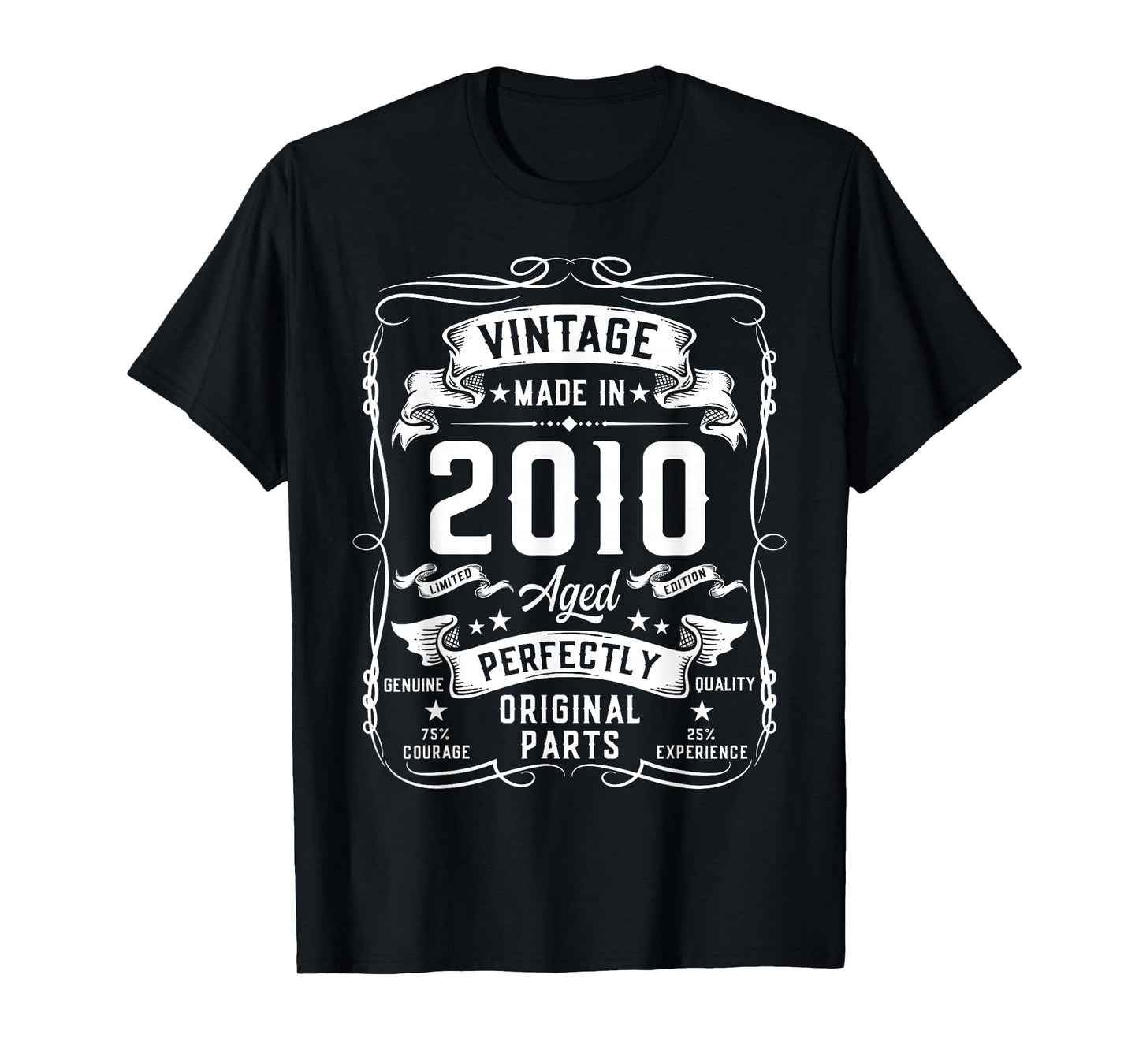 Vintage 2010 15yr 15th Birthday Gifts for Boys 15 Years Old T-Shirt