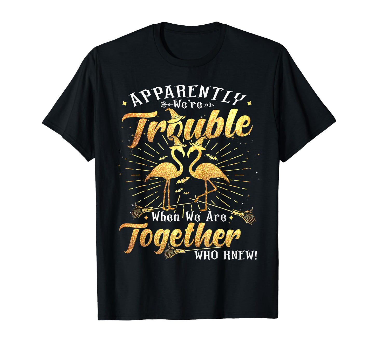 Apparently We're Trouble Flamingo Witches Halloween Witchy T-Shirt