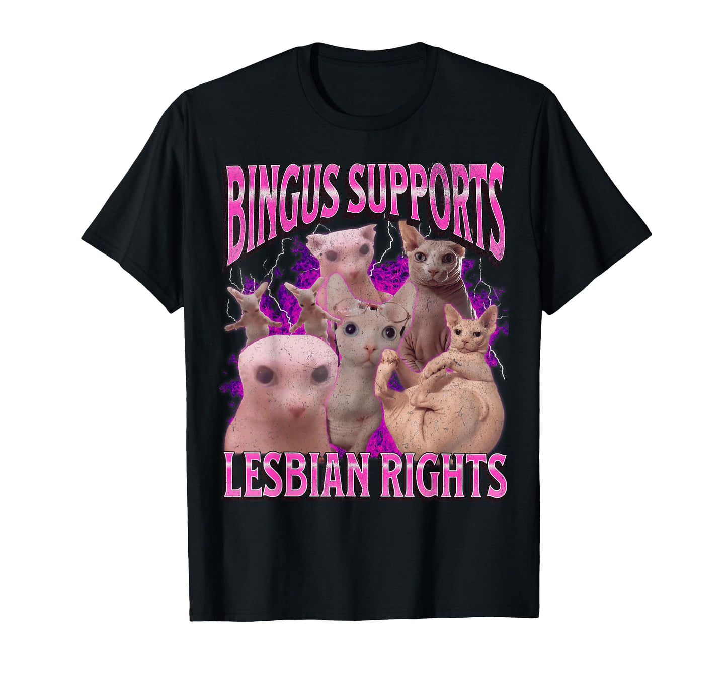 Bingus Supports Lesbian Rights Funny Cat Meme Bootleg T-Shirt