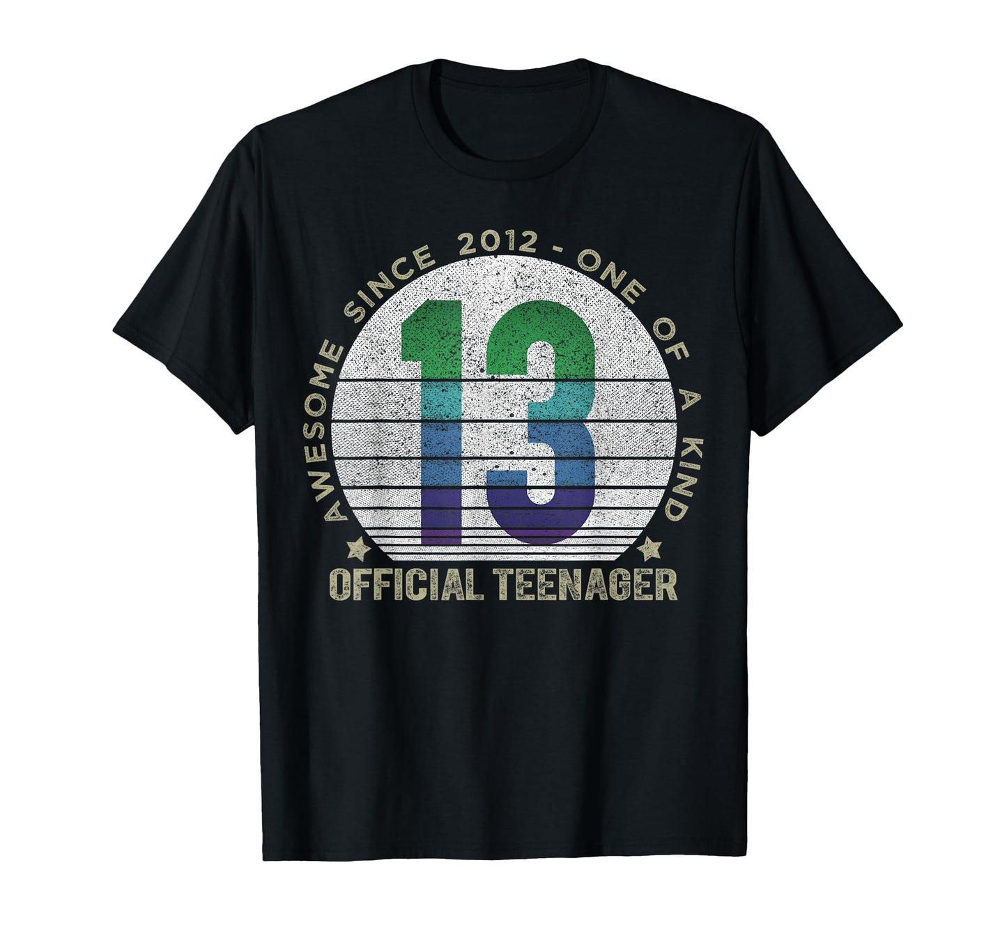 Official Teenager 13 Year Old Gifts Vintage 13th Birthday T-Shirt