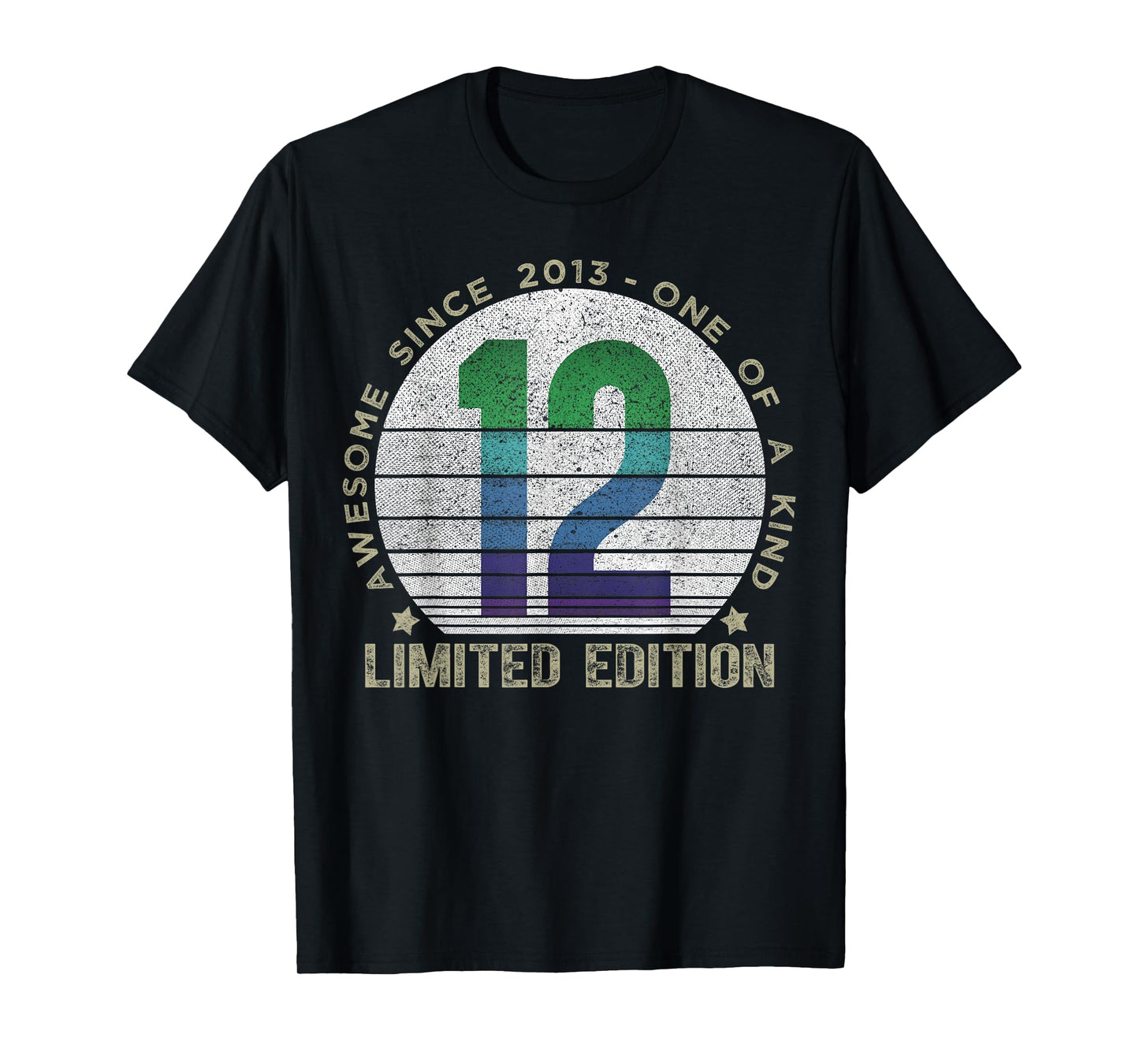 12 Year Old Gifts Vintage 2013 Limited Edition 12th Birthday T-Shirt