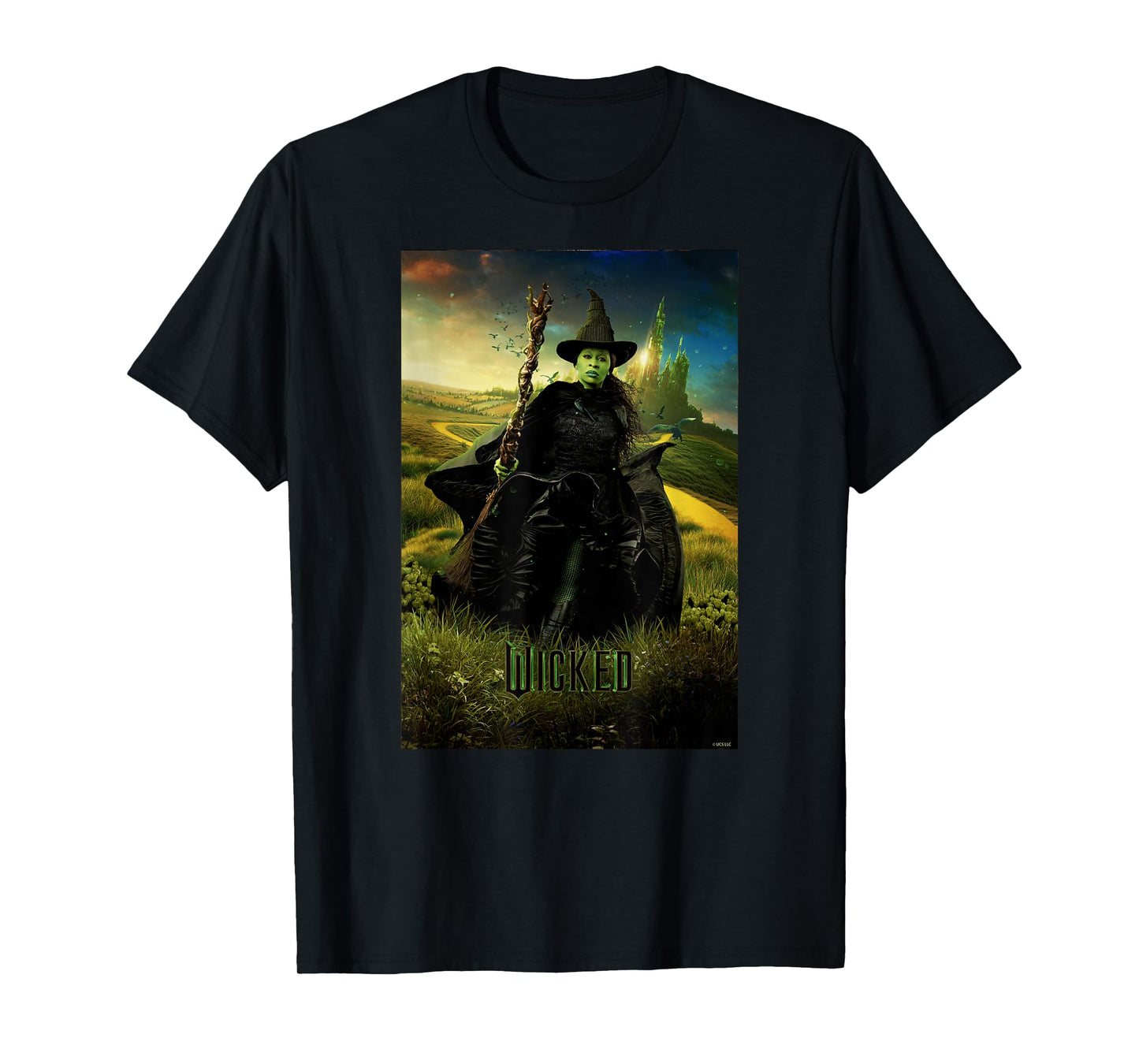 Wicked Unisex-Adults & Kids T-Shirt, Black, Small, Short Sleeve, Classic Fit, Iconic Hero Design, Licensed Movie Theme
